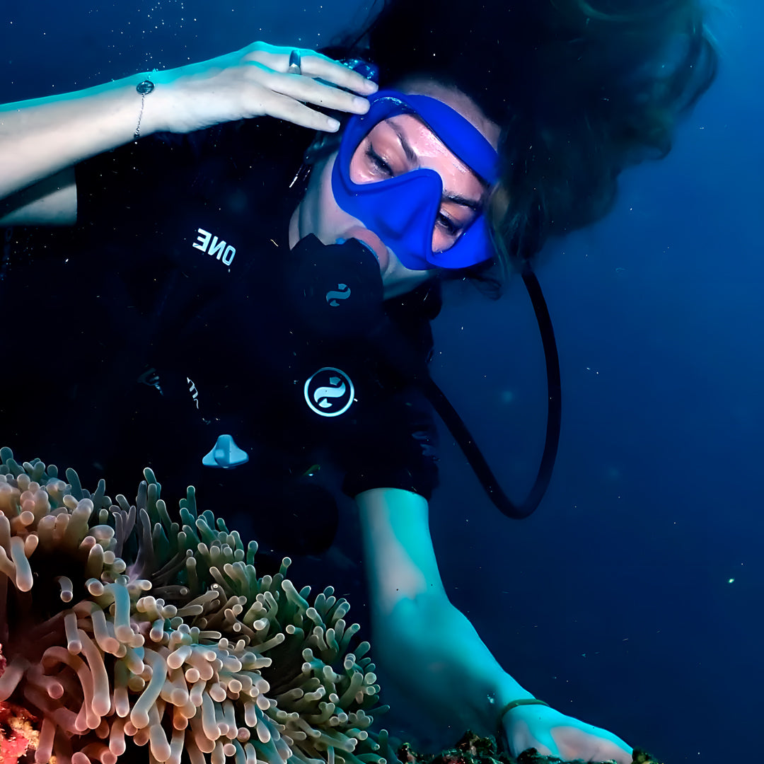 Kled Kaew Wreck & Marine Park Fun Dive Barakuda Dive Phi Phi
