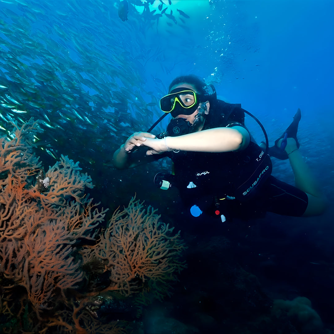 Kled Kaew Wreck & Marine Park Fun Dive Barakuda Dive Phi Phi