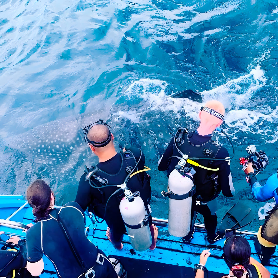 Koh Phi Phi Marine Park Fun Dive Barakuda Dive Phi Phi