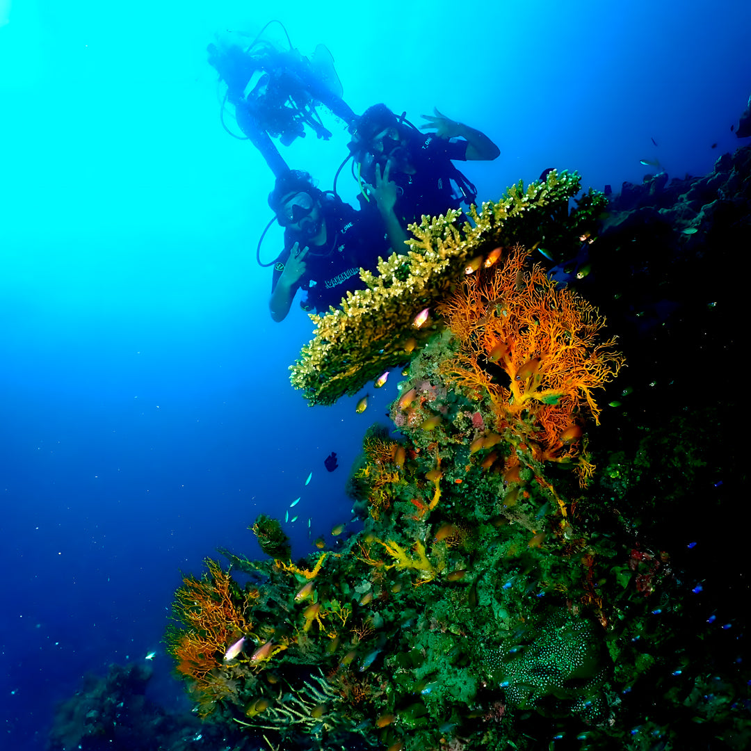 Kled Kaew Wreck & Marine Park Fun Dive Barakuda Dive Phi Phi