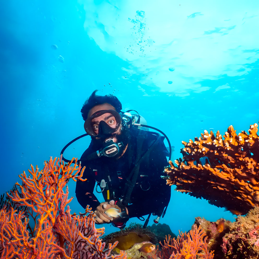 Koh Phi Phi Marine Park Fun Dive Barakuda Dive Phi Phi