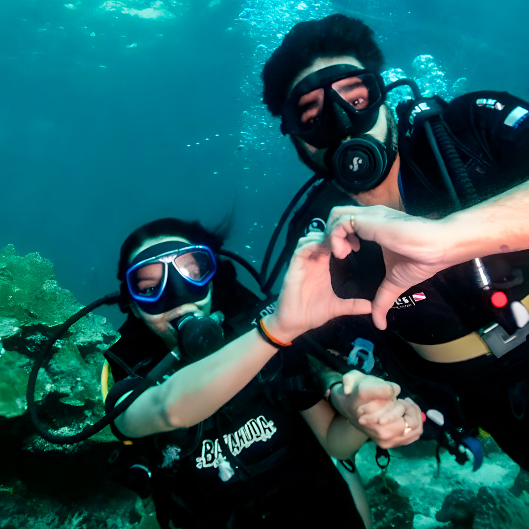 Koh Phi Phi Night Dive Adventure Barakuda Dive Phi Phi