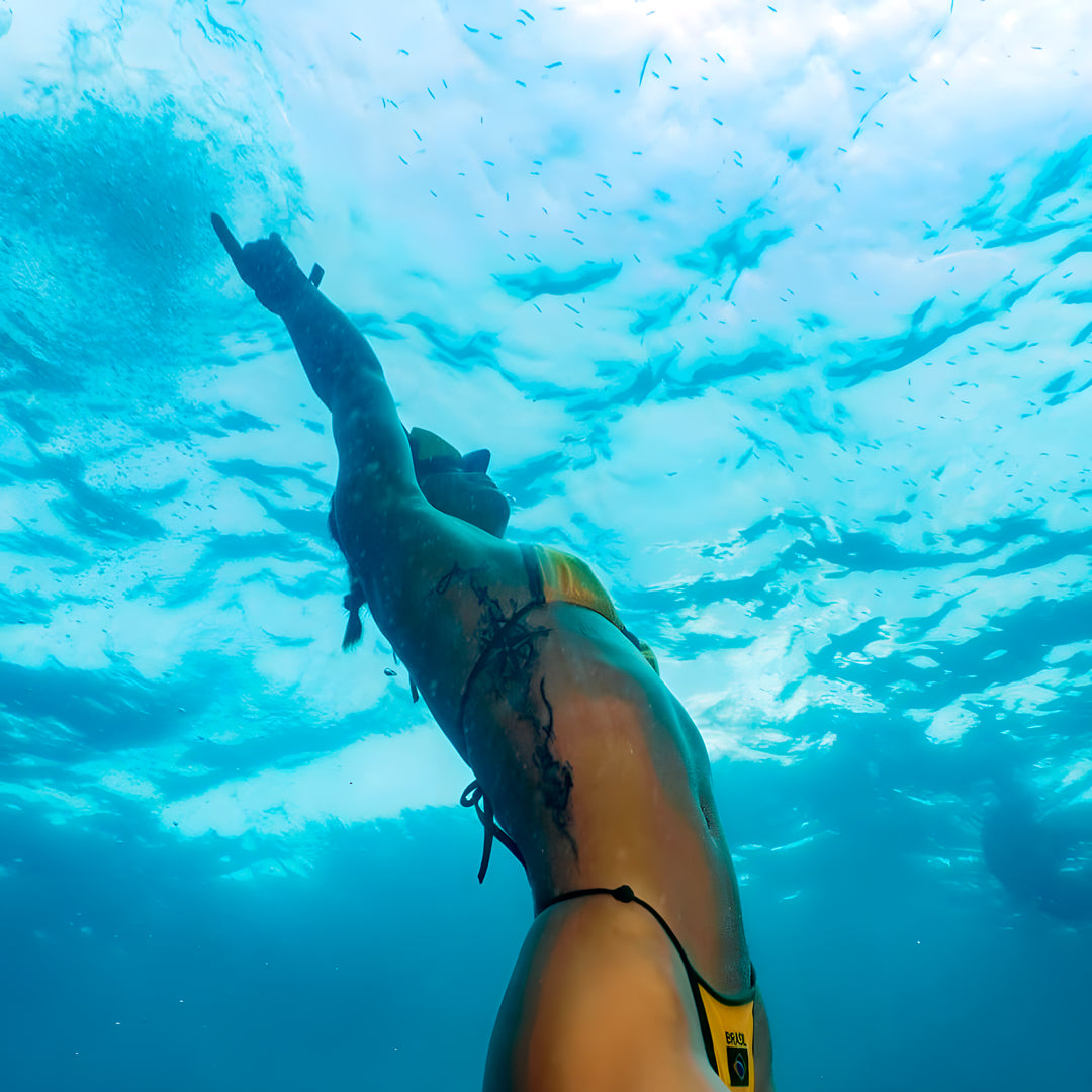 Koh Phi Phi Night Dive Adventure Barakuda Dive Phi Phi