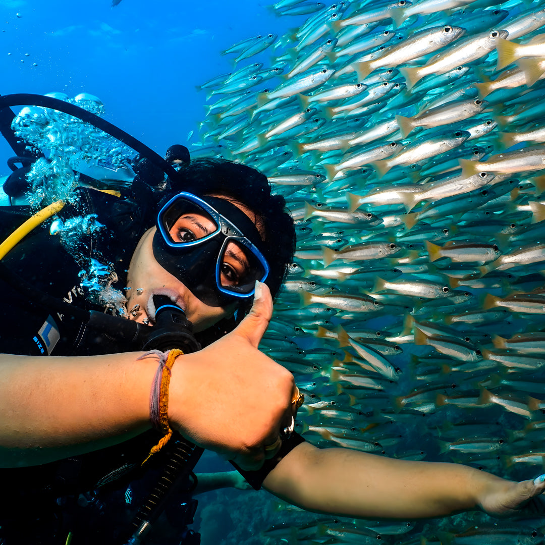 Koh Phi Phi Night Dive Adventure Barakuda Dive Phi Phi