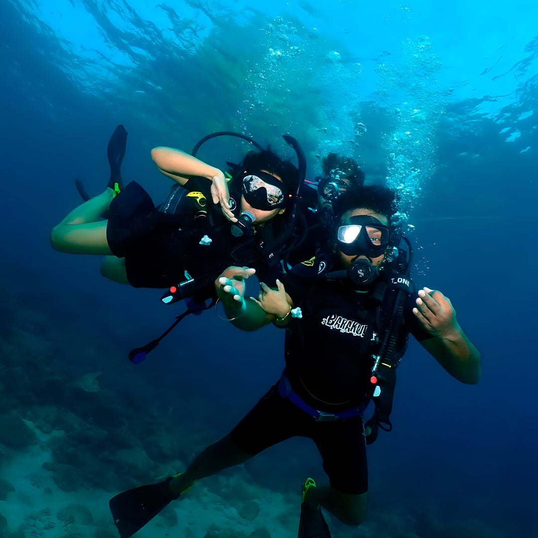 Koh Phi Phi Night Dive Adventure Barakuda Dive Phi Phi