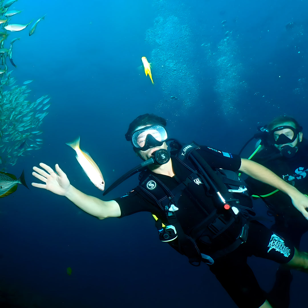 Kled Kaew Wreck & Marine Park Fun Dive Barakuda Dive Phi Phi