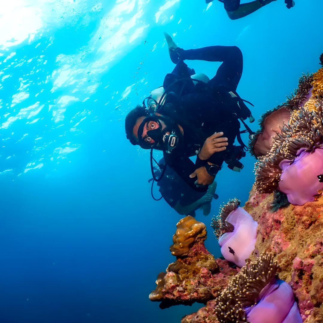 Koh Phi Phi Night Dive Adventure Barakuda Dive Phi Phi