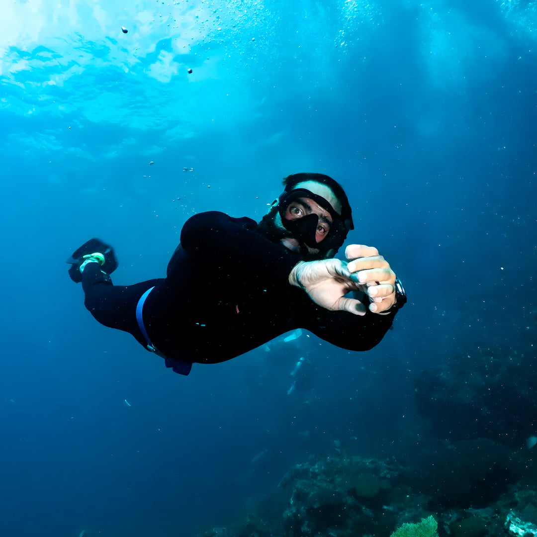 Koh Phi Phi Marine Park Fun Dive Barakuda Dive Phi Phi