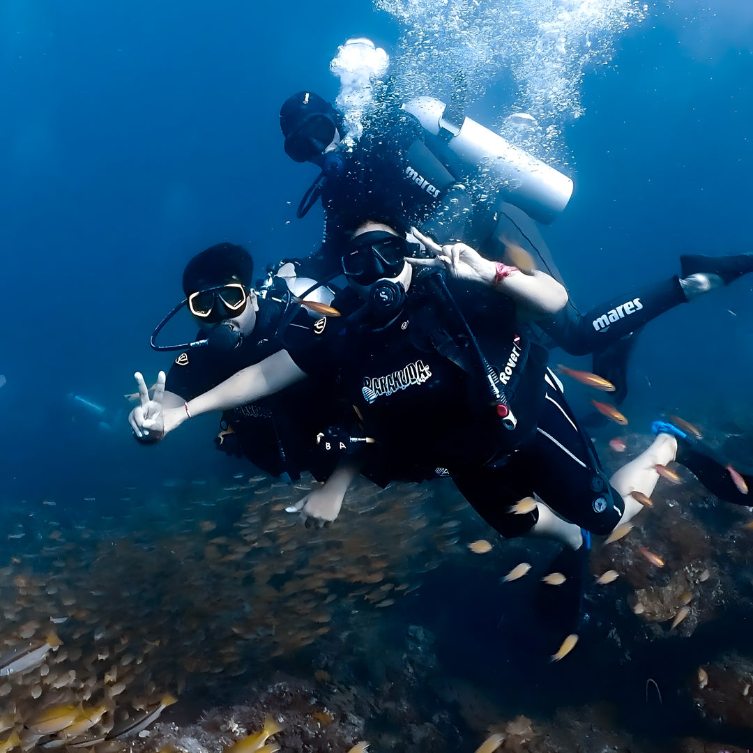 Koh Phi Phi Marine Park Fun Dive