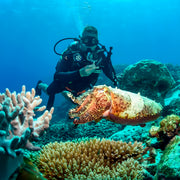 PADI Open Water Scuba Diving Course