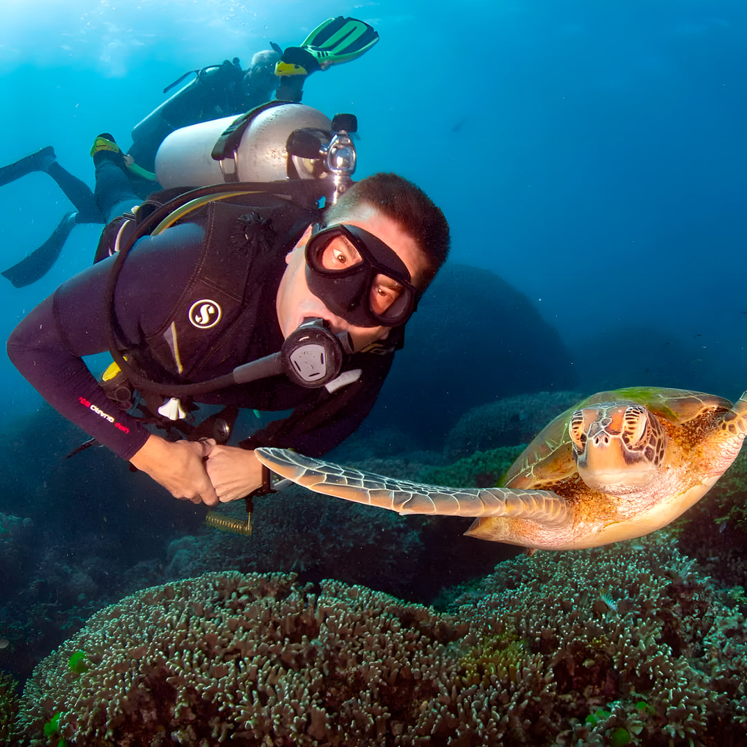 Discovery Scuba Diving in Darwin