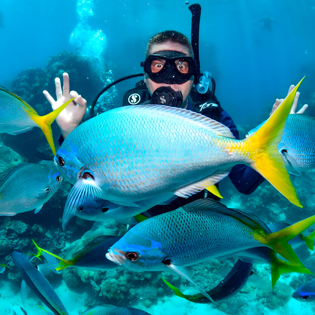 PADI Open Water Scuba Diving Course