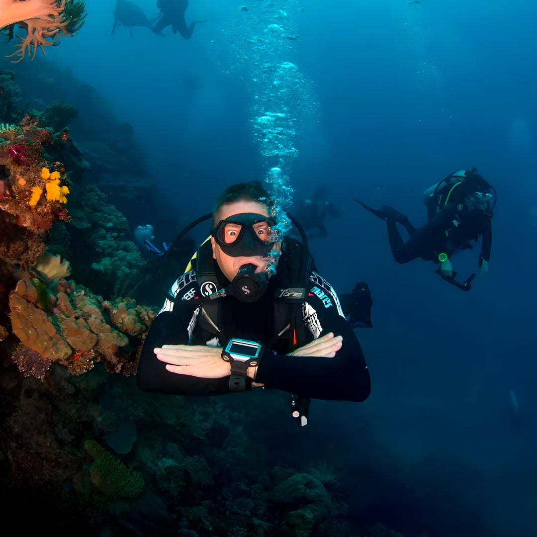 Discovery Scuba Diving in Darwin