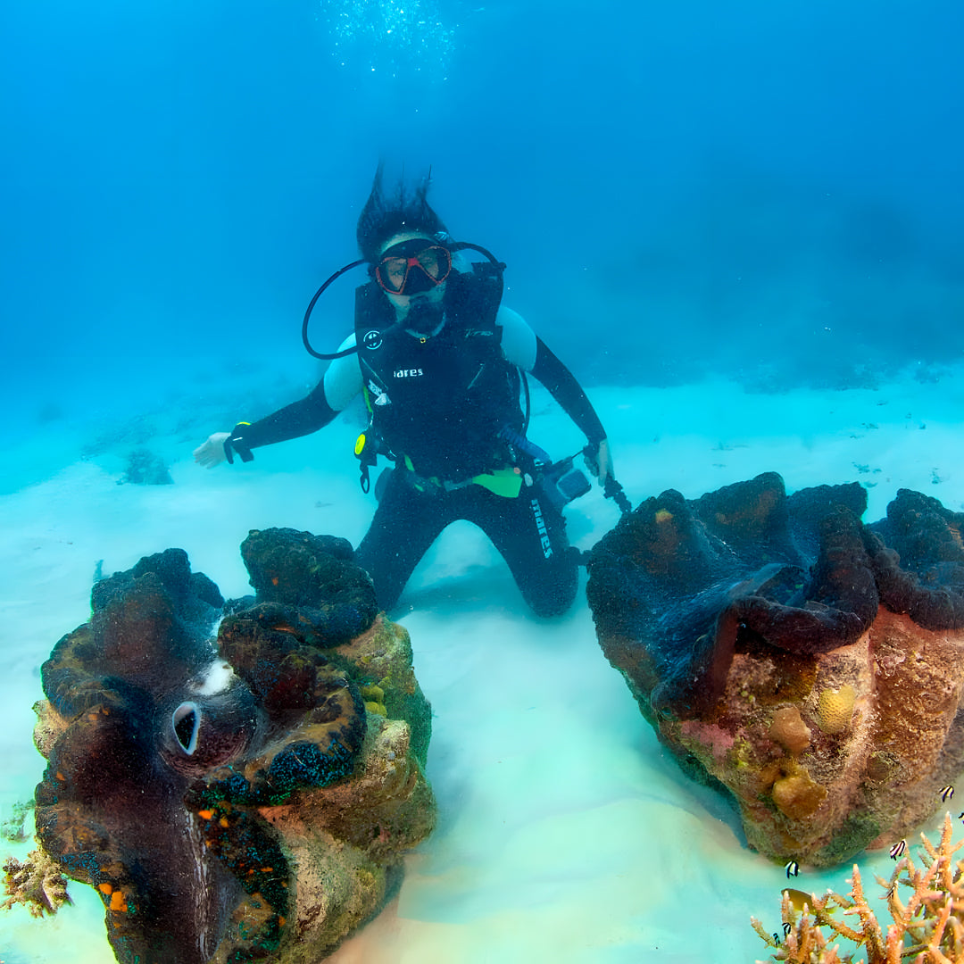 Discovery Scuba Diving in Darwin