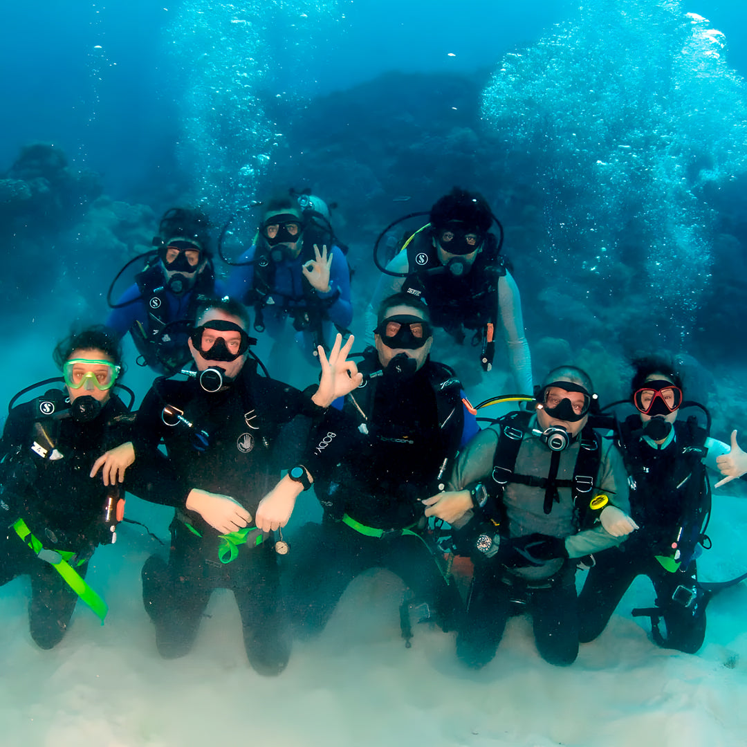 Discovery Scuba Diving in Darwin