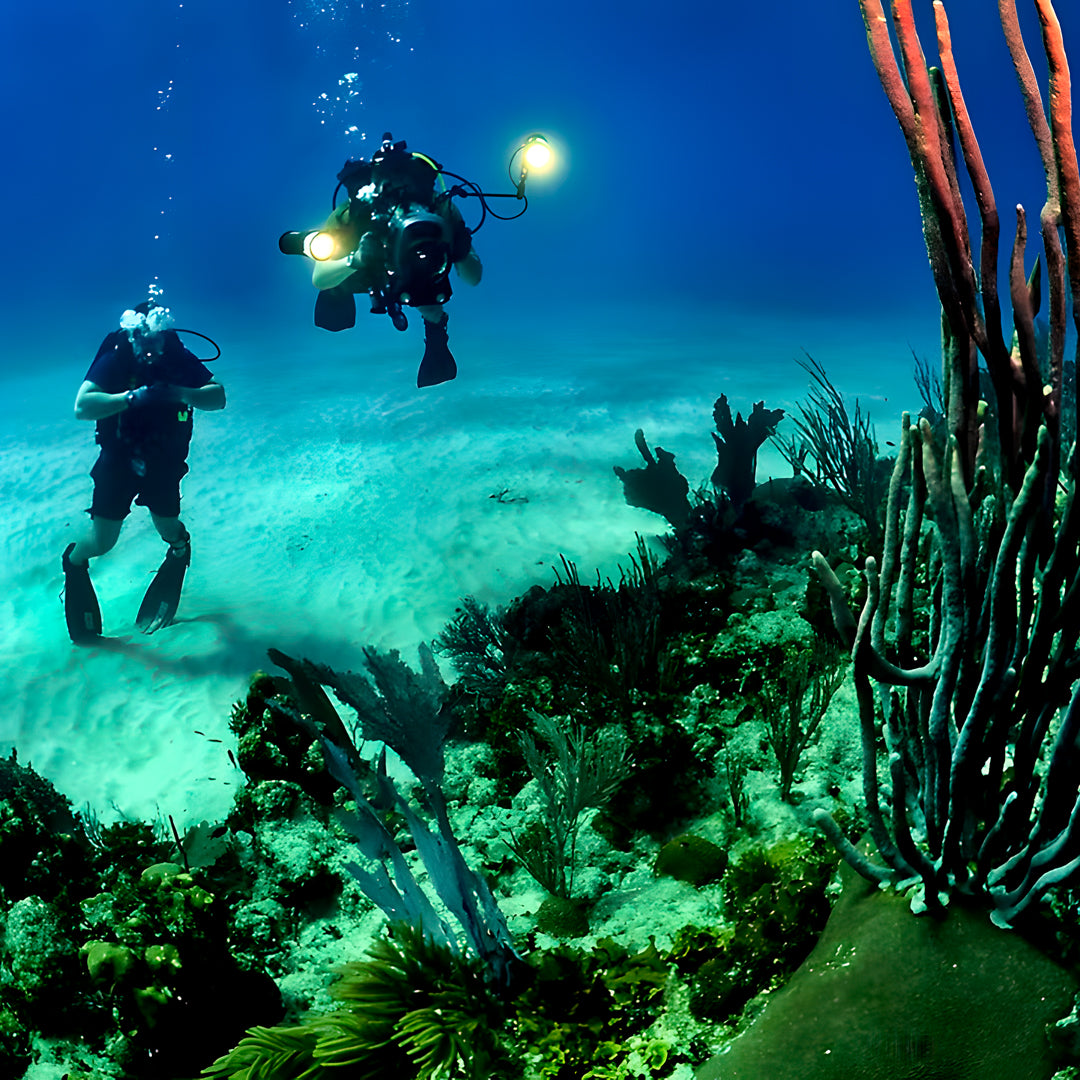 PADI Open Water Scuba Diving Course