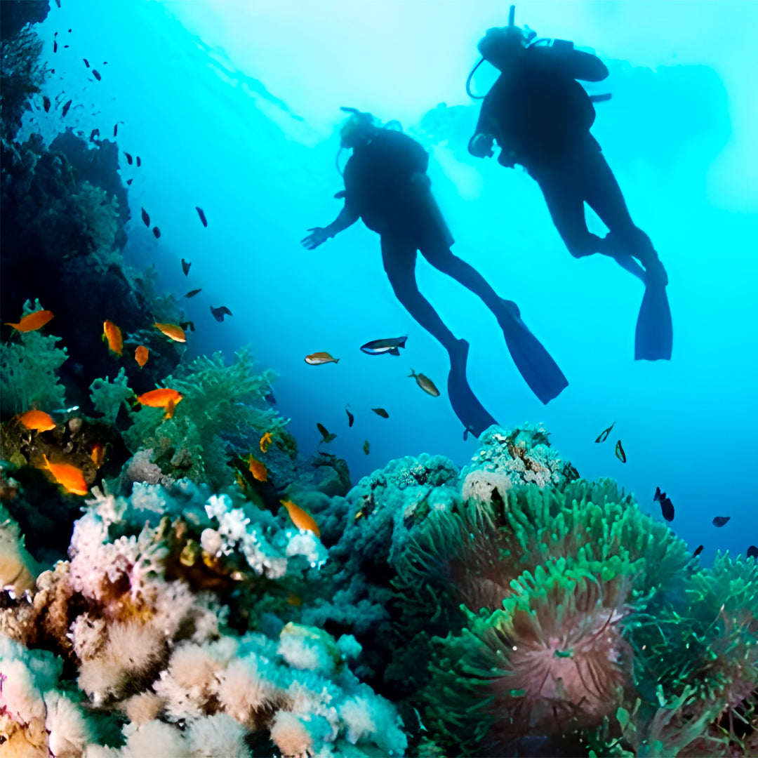 Discovery Scuba Diving in Darwin