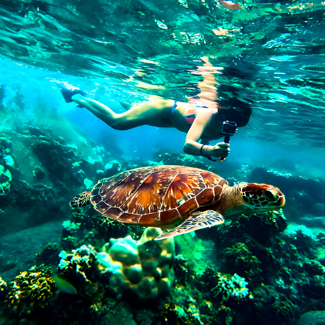 Open Water Dive Beginner Course