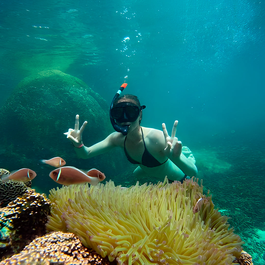 Open Water Dive Beginner Course