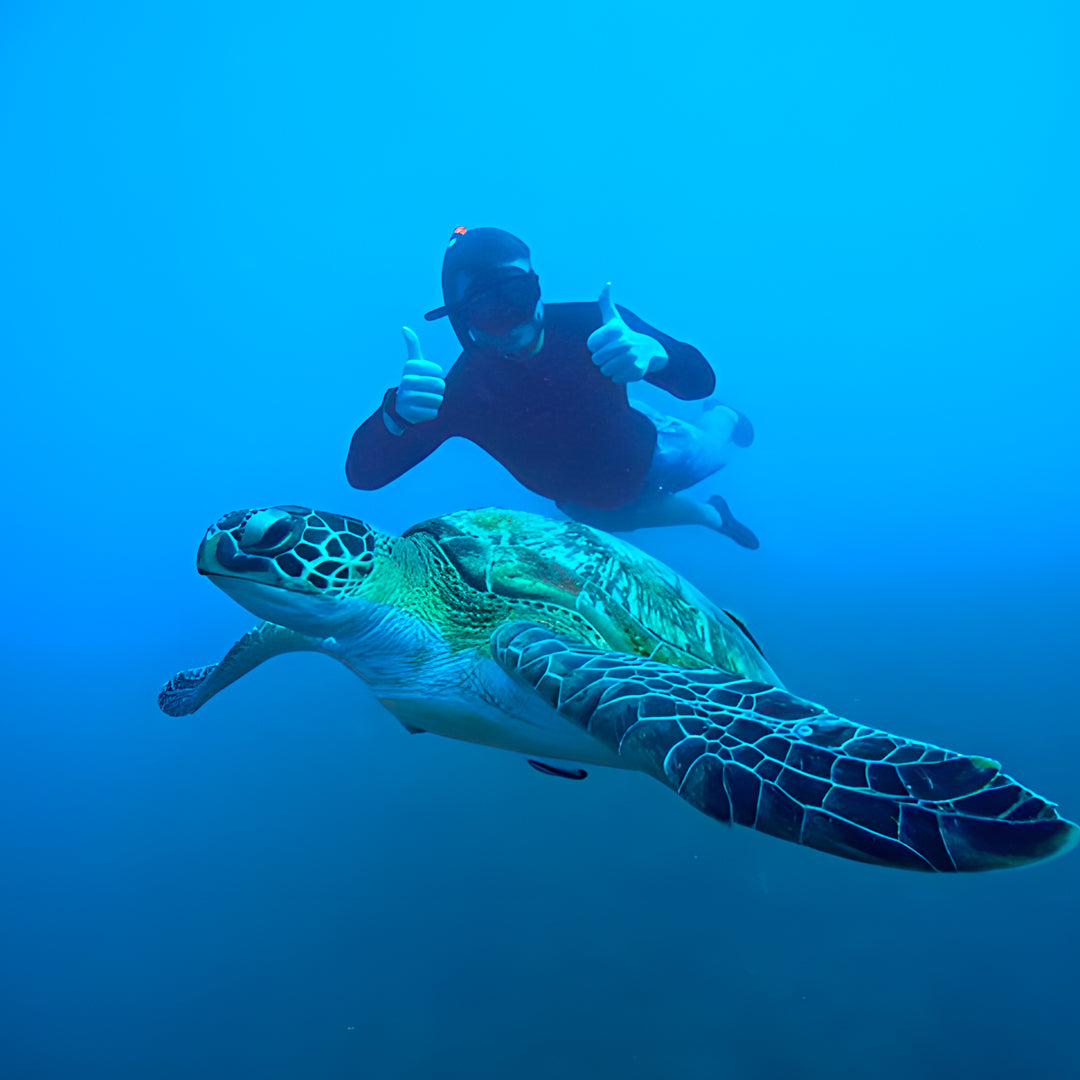 Open Water Dive Beginner Course Dowaan Diving