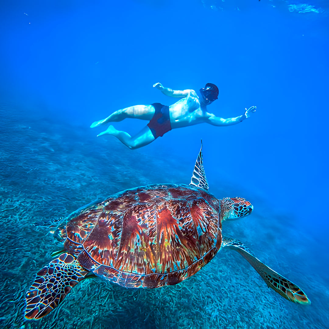 Open Water Dive Beginner Course Dowaan Diving