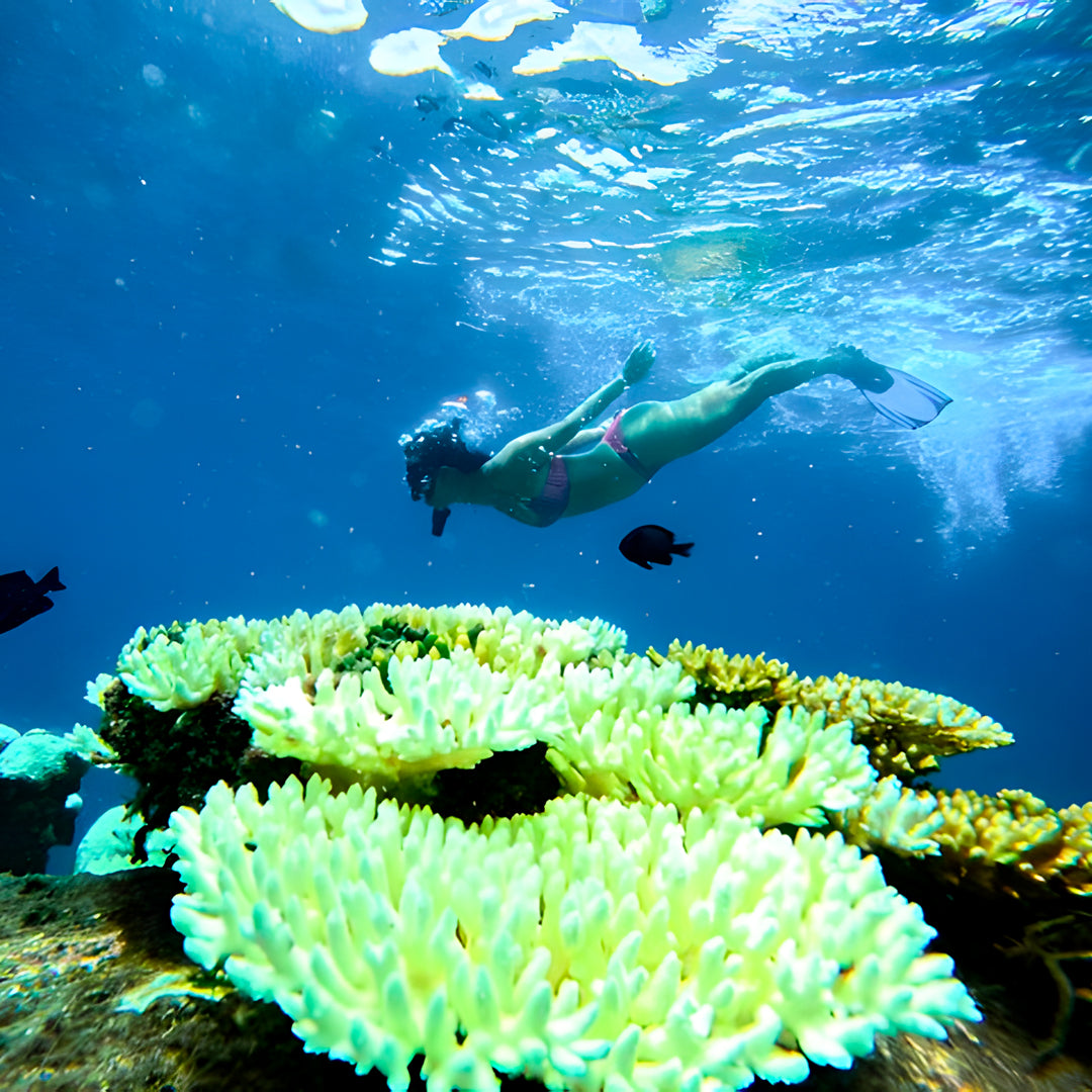Open Water Dive Beginner Course Dowaan Diving