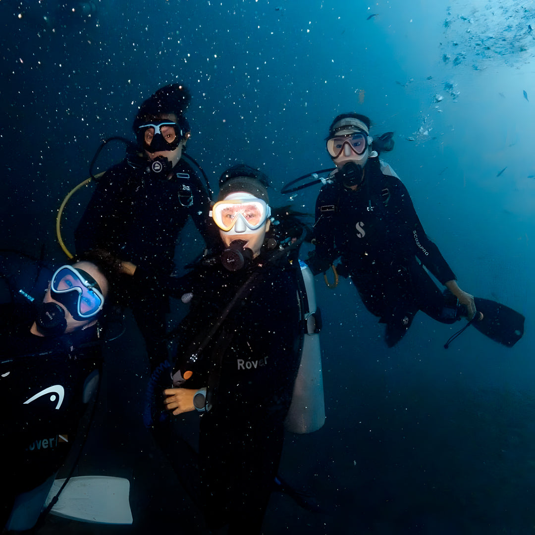 Open Water Dive Beginner Course Dowaan Diving