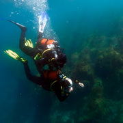 Discover Scuba Diving in Sesimbra