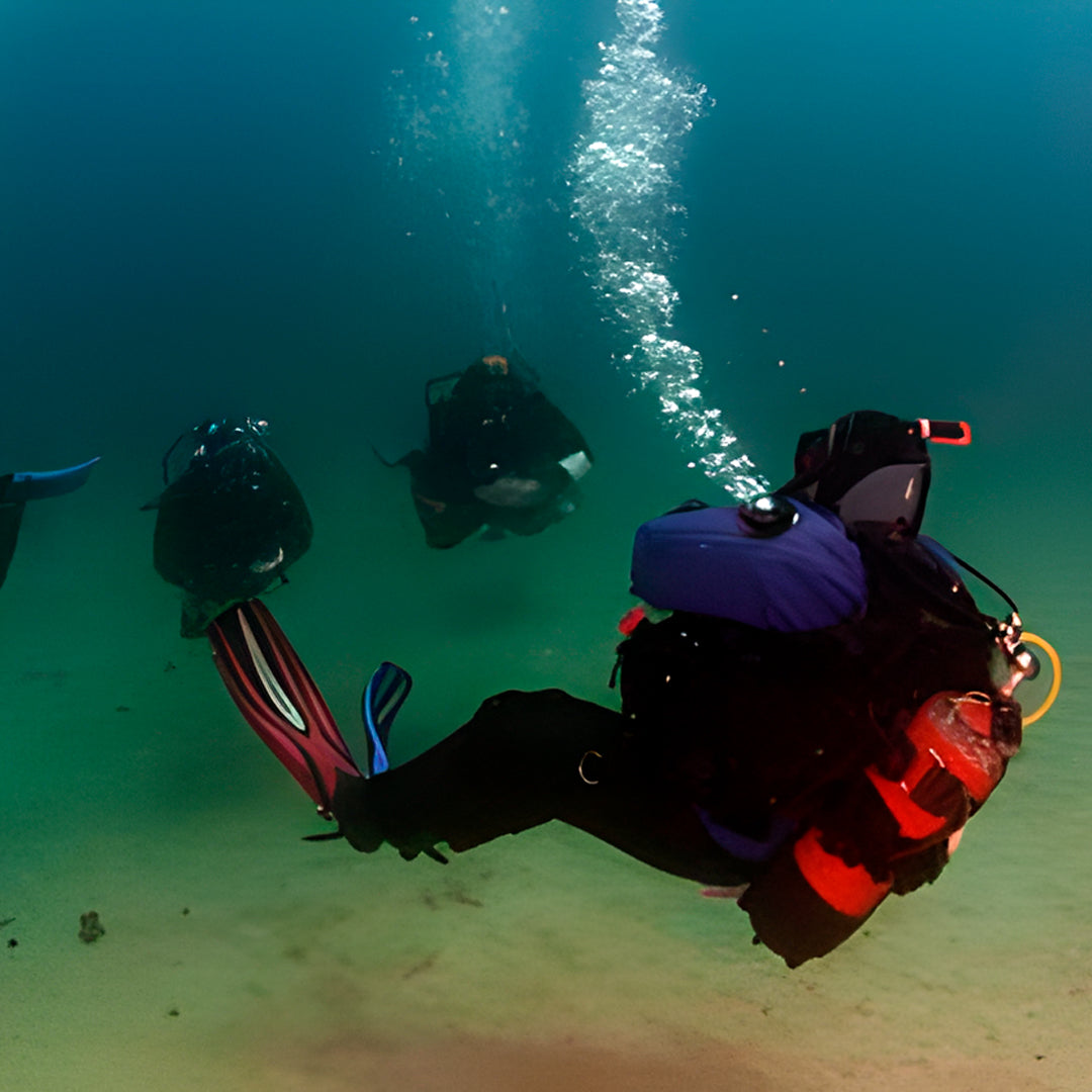 Discover Scuba Diving in Sesimbra
