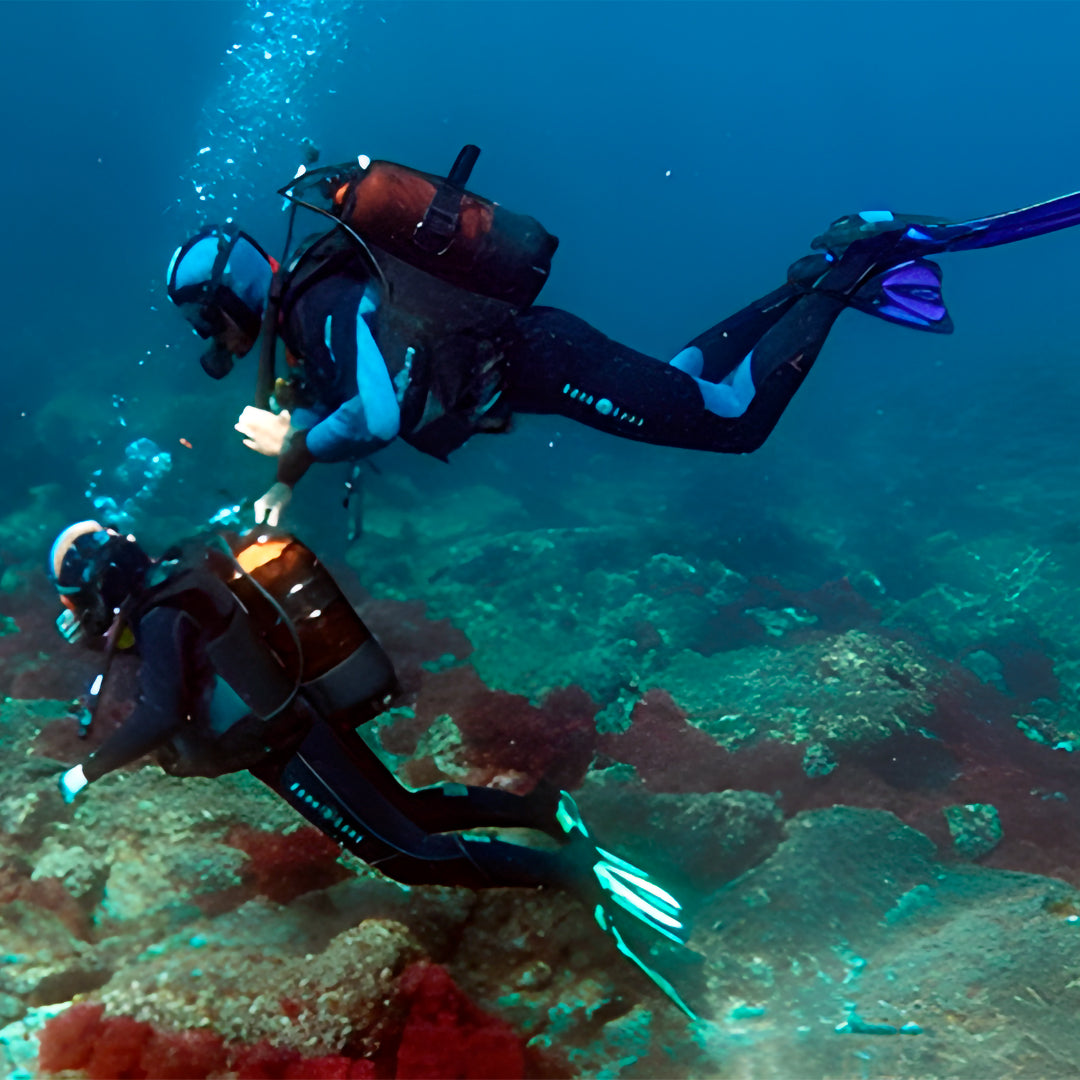 Discover Scuba Diving in Sesimbra