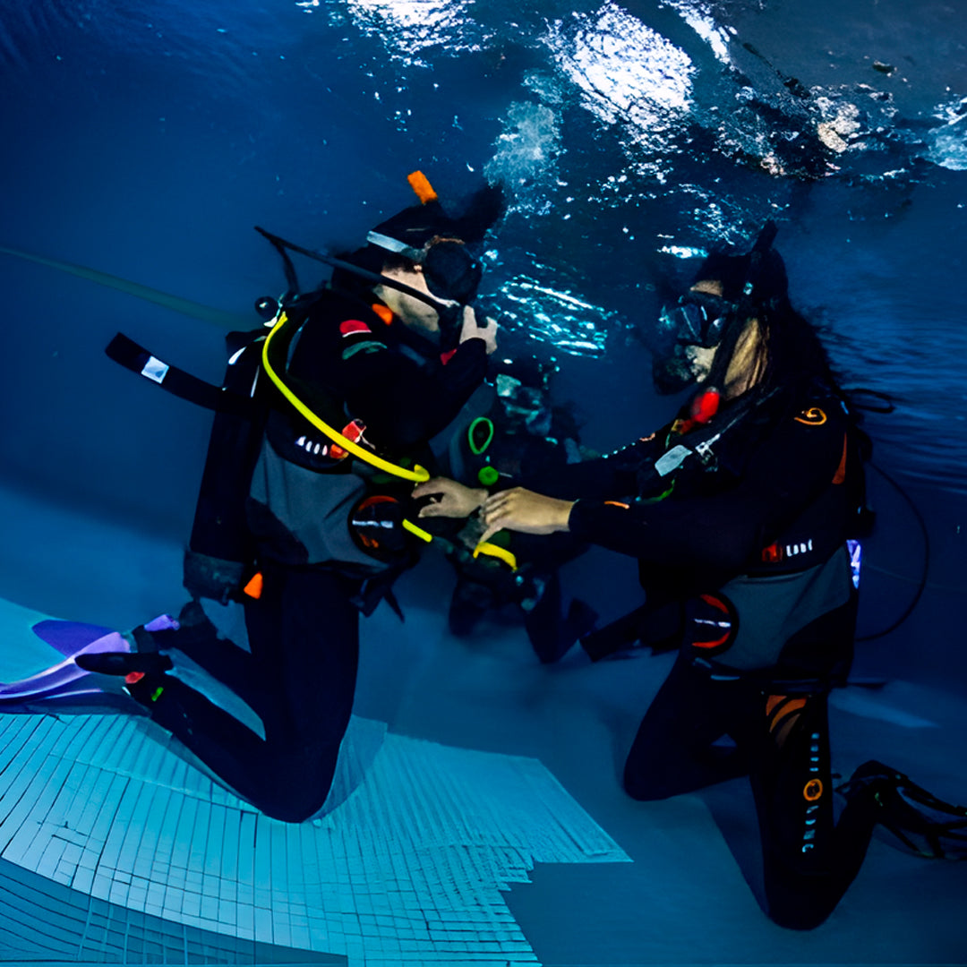Discover Scuba Diving in Sesimbra
