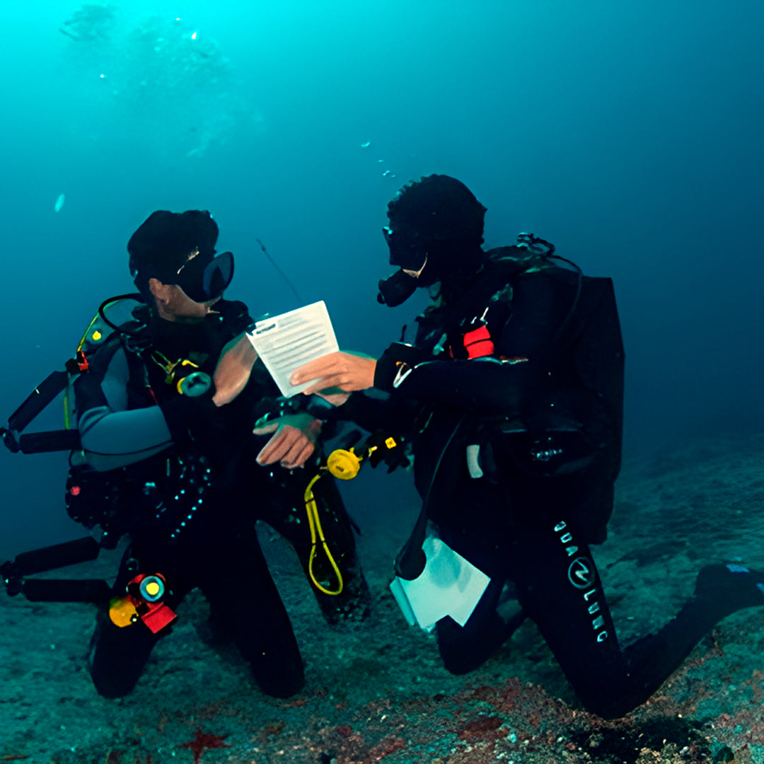 Discover Scuba Diving in Sesimbra