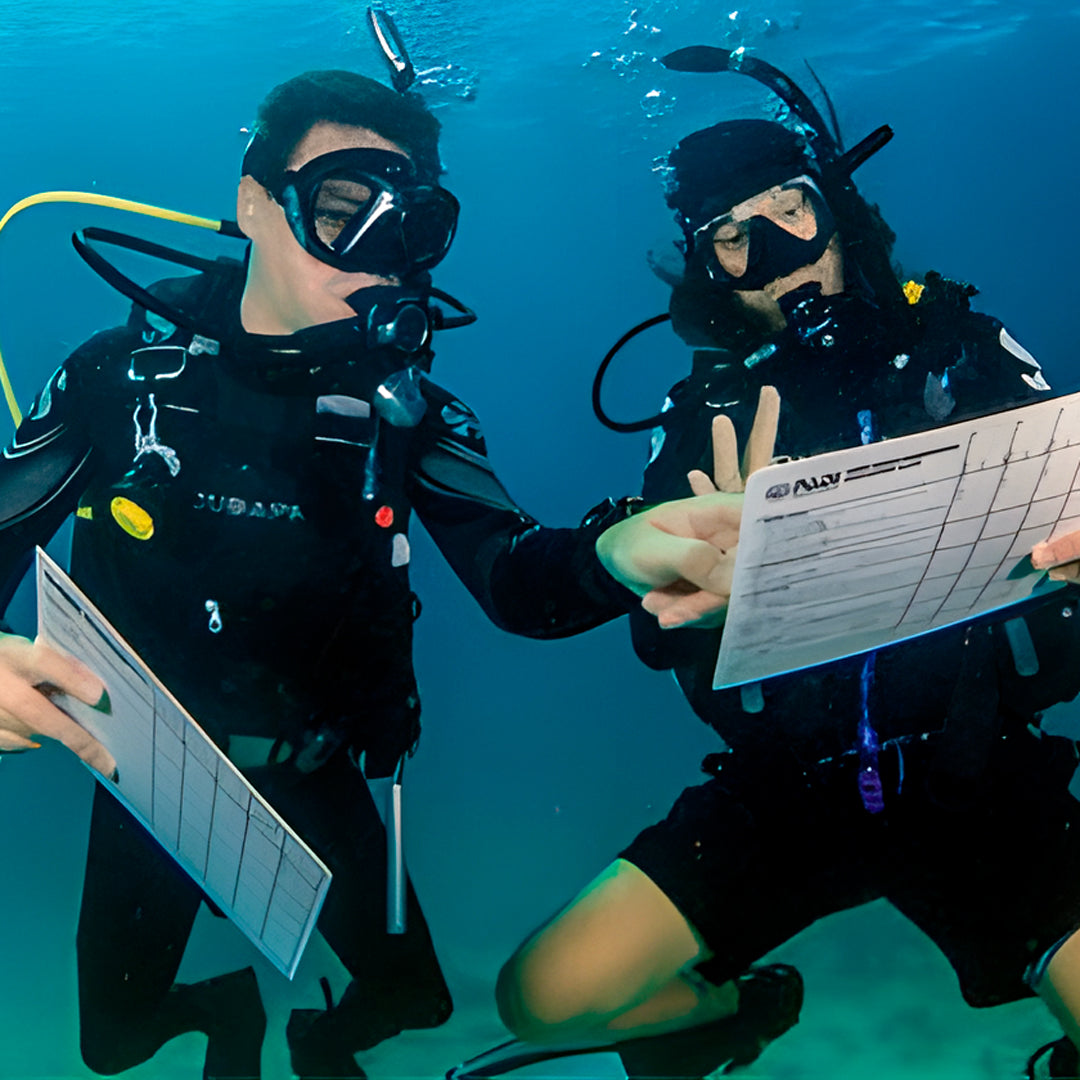 Discover Scuba Diving in Sesimbra