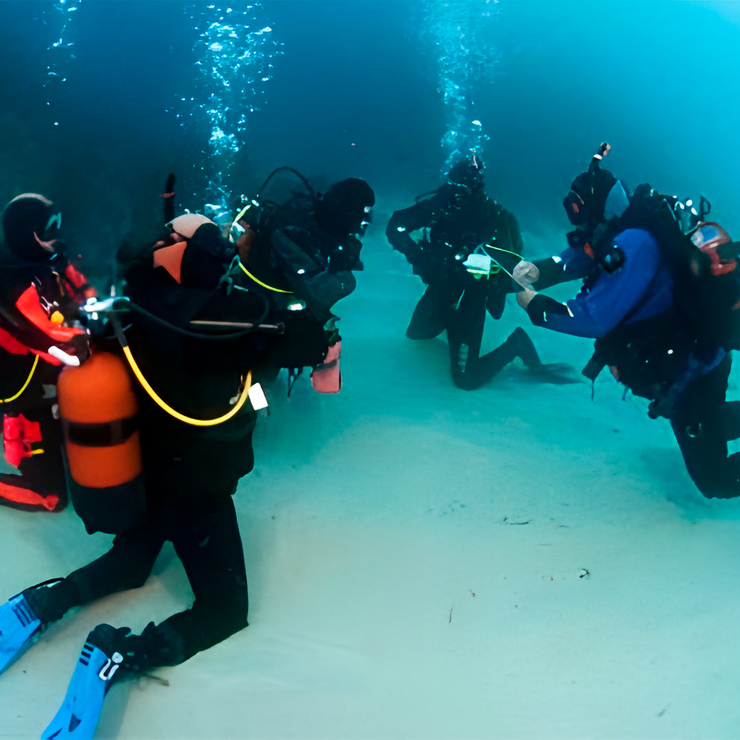 Discover Scuba Diving in Sesimbra