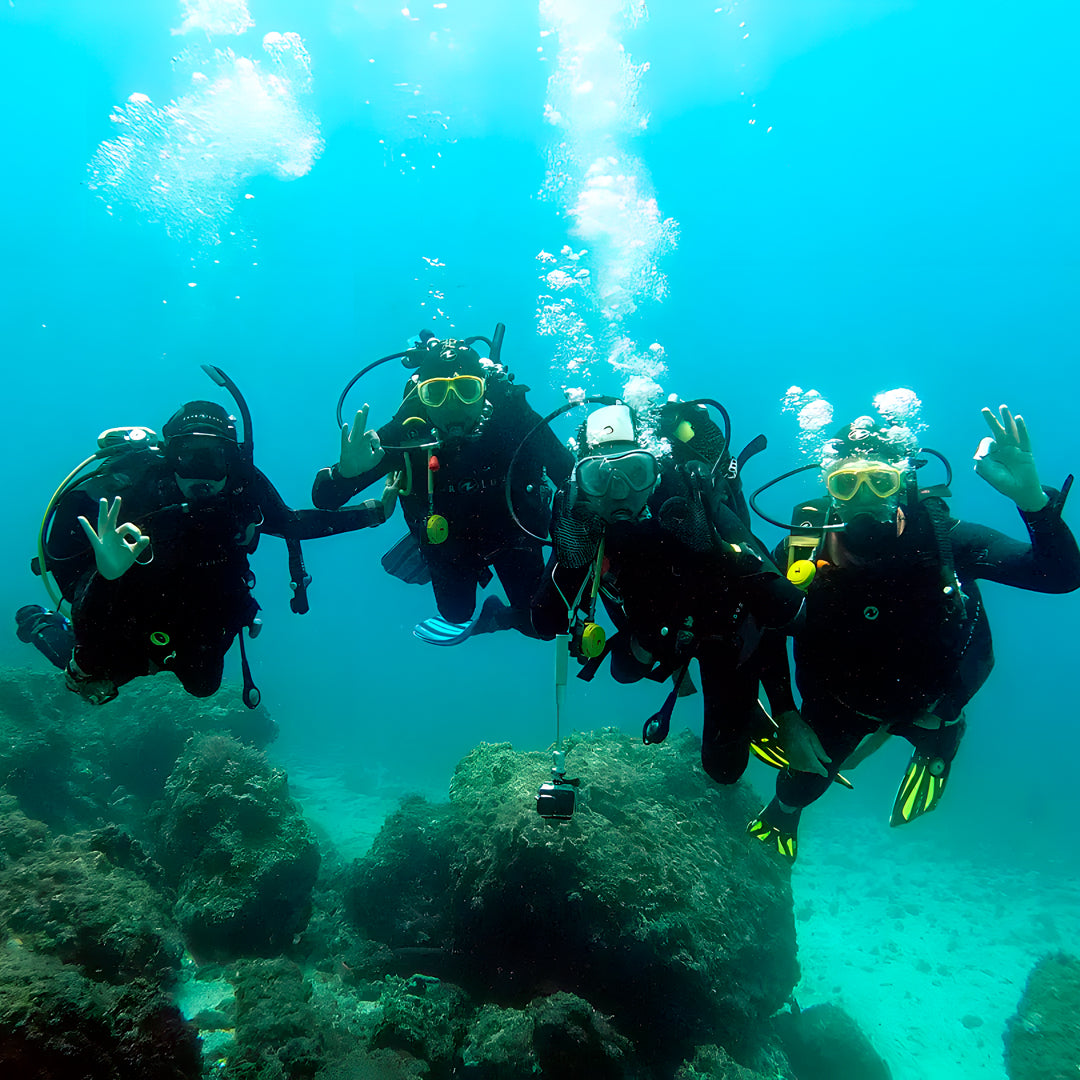 Discover Scuba Diving in Sesimbra
