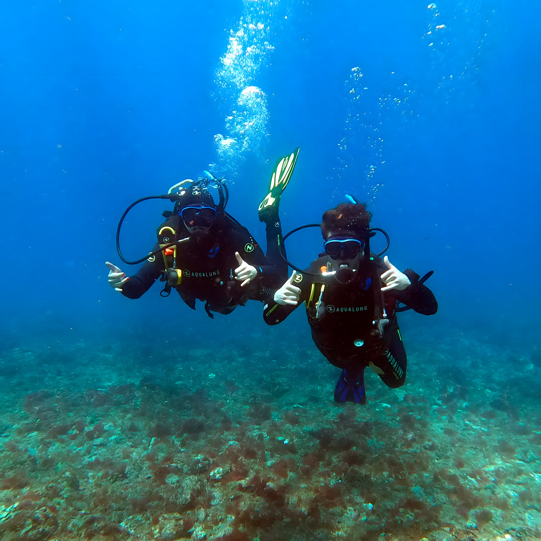 Discover Scuba Diving in Sesimbra