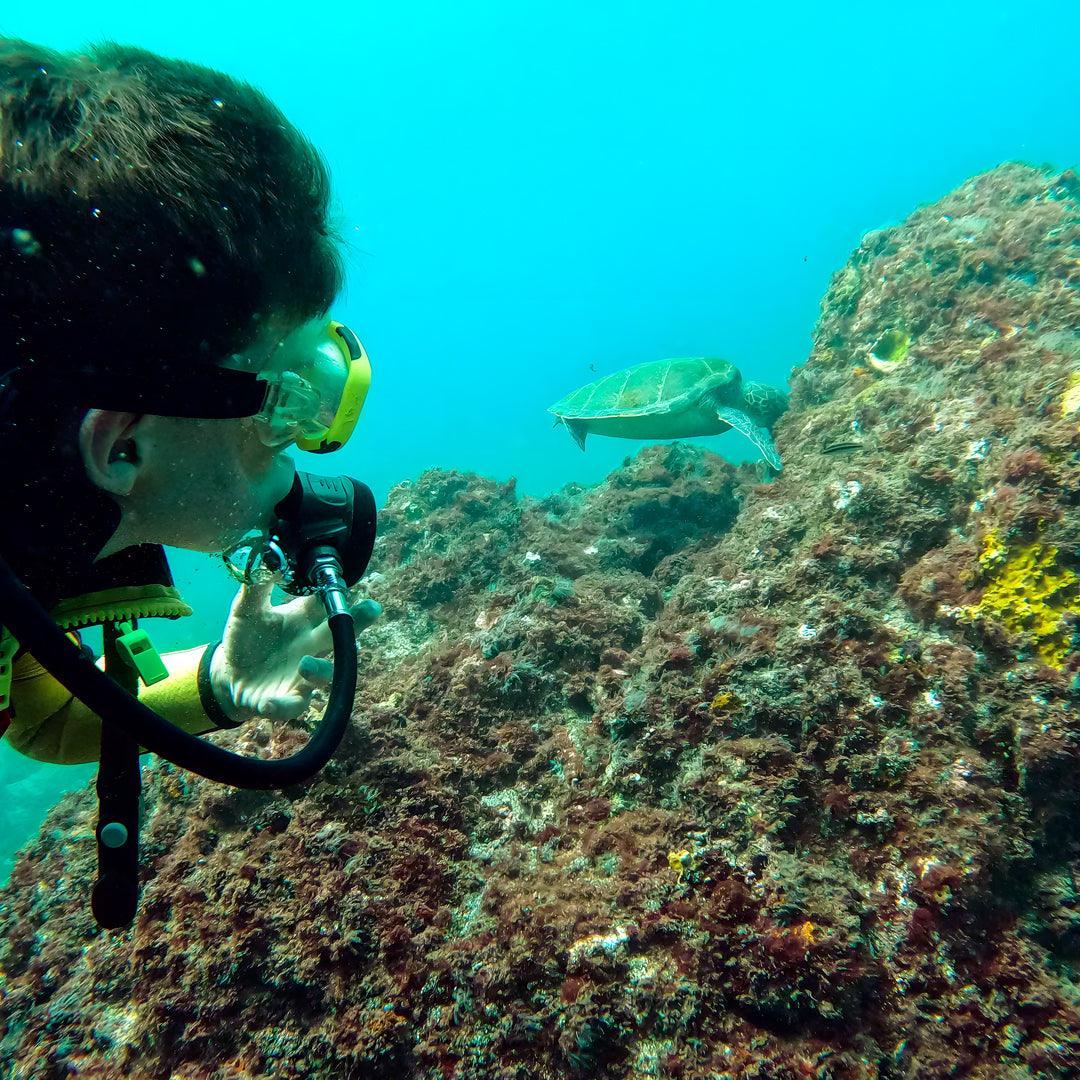 Discover Scuba Diving in Sesimbra