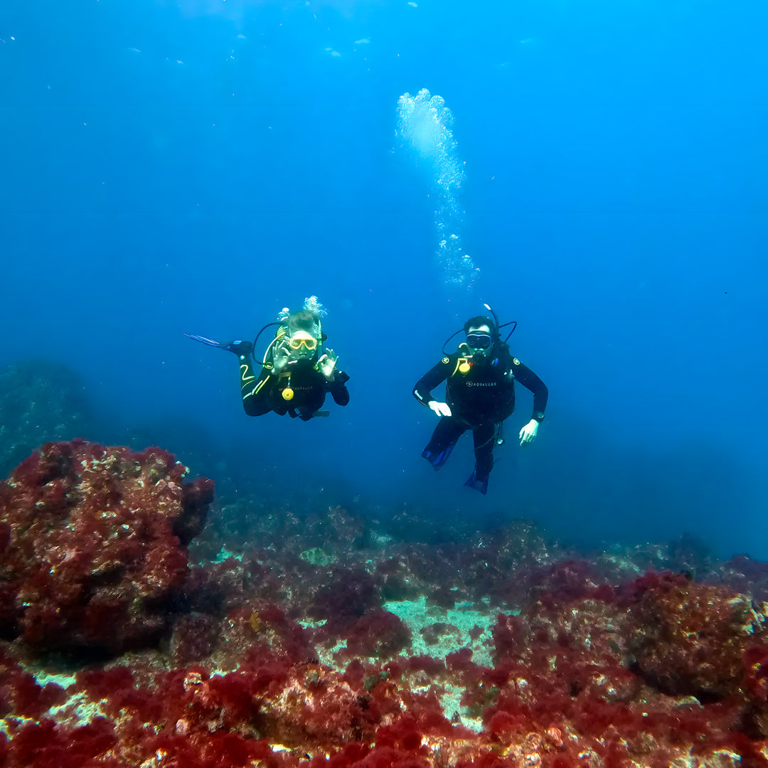 Discover Scuba Diving in Sesimbra
