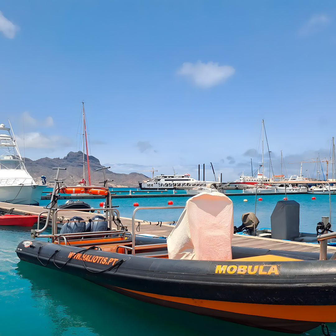 Discover Scuba Diving in Sesimbra