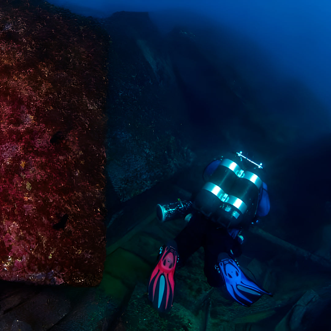 Discover Scuba Diving in Sesimbra