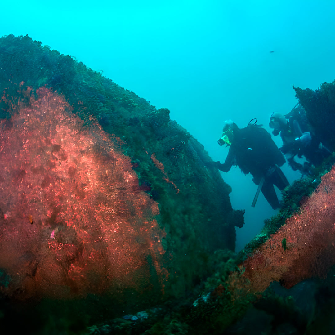 Discover Scuba Diving in Sesimbra