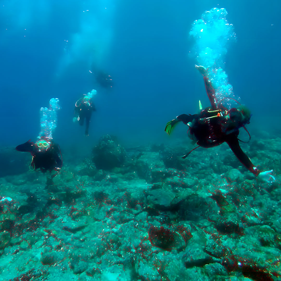 Discover Scuba Diving in Sesimbra