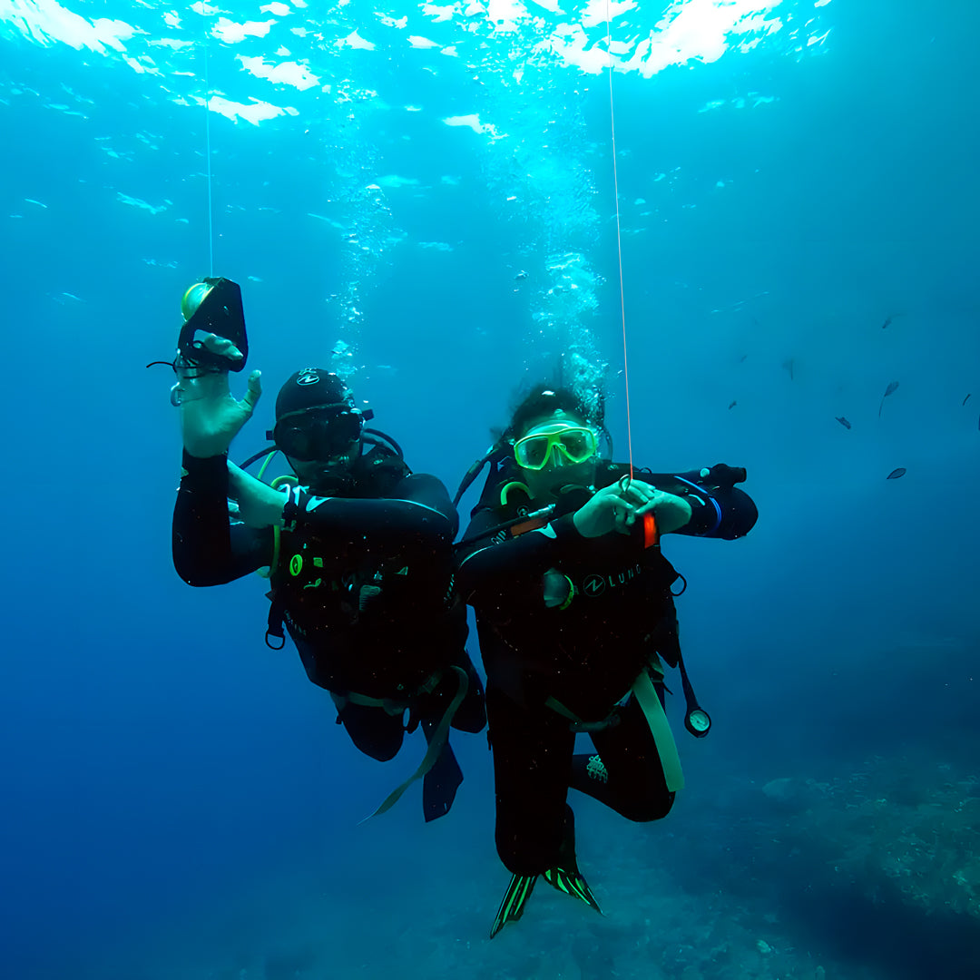Discover Scuba Diving in Sesimbra