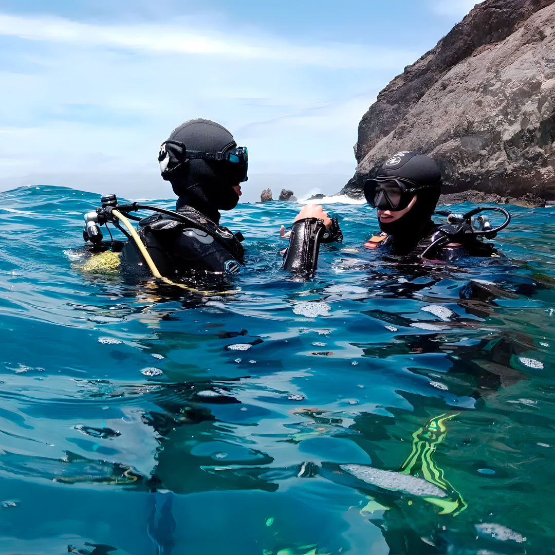 Discover Scuba Diving in Sesimbra