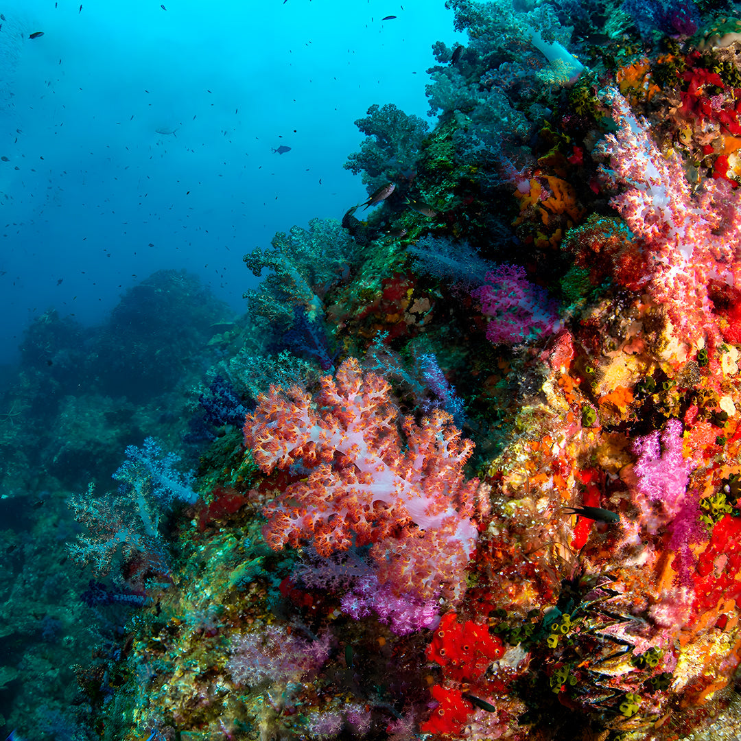 Koh Lanta Scuba Fun Diving Hidden Depths Diving
