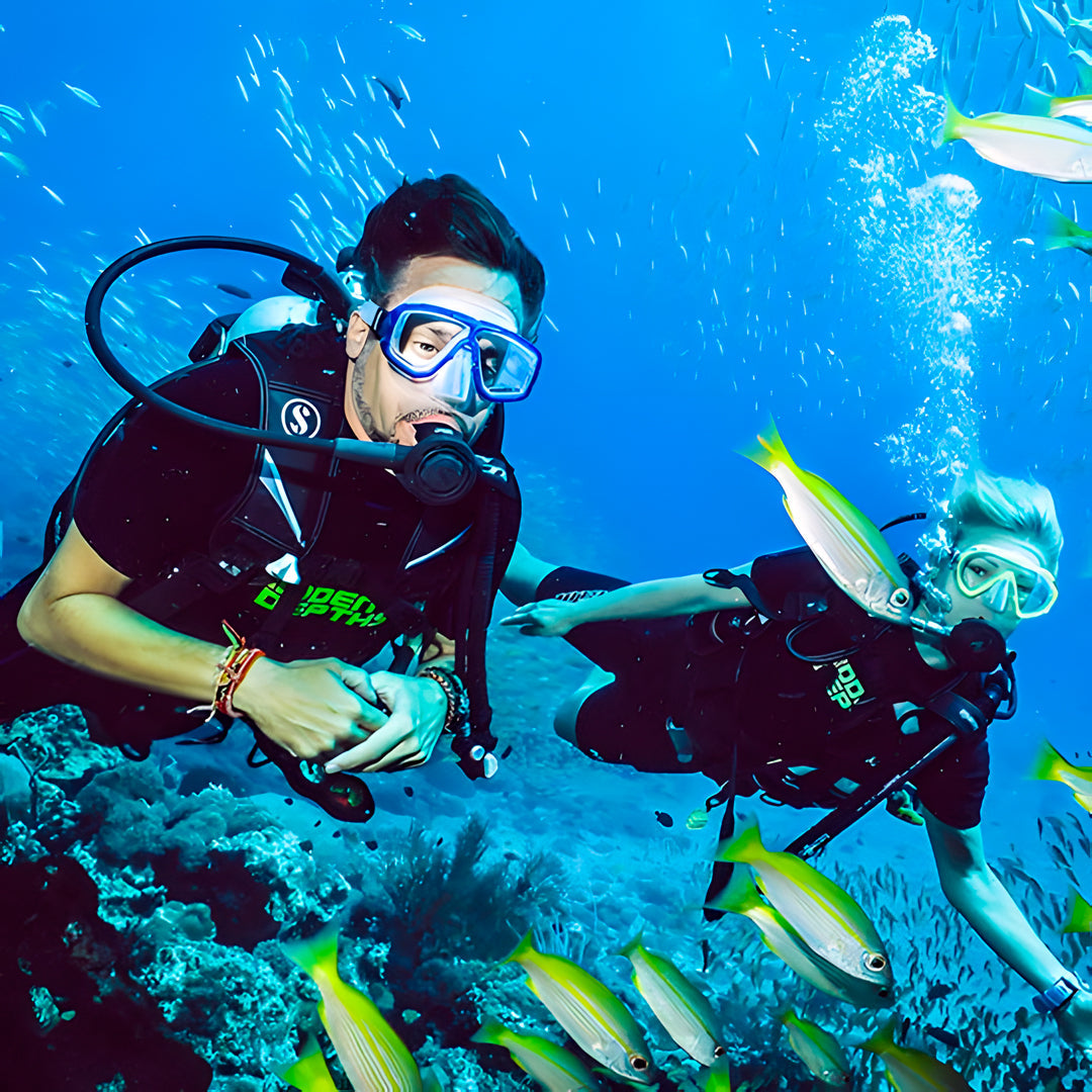 Hin Daeng Scuba Fun Diving Hidden Depths Diving