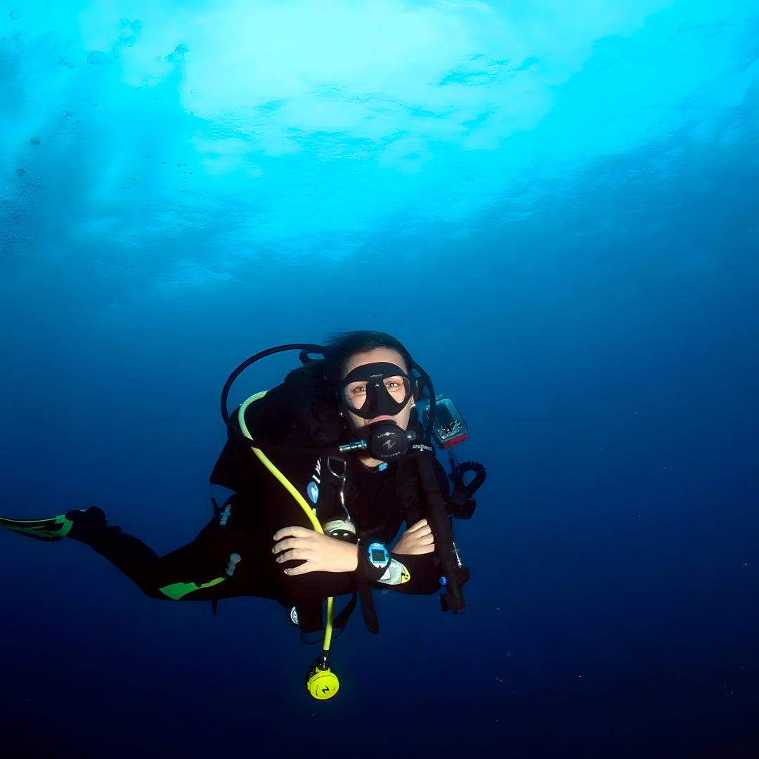 Sesimbra Marine Reserve Exploration Dive