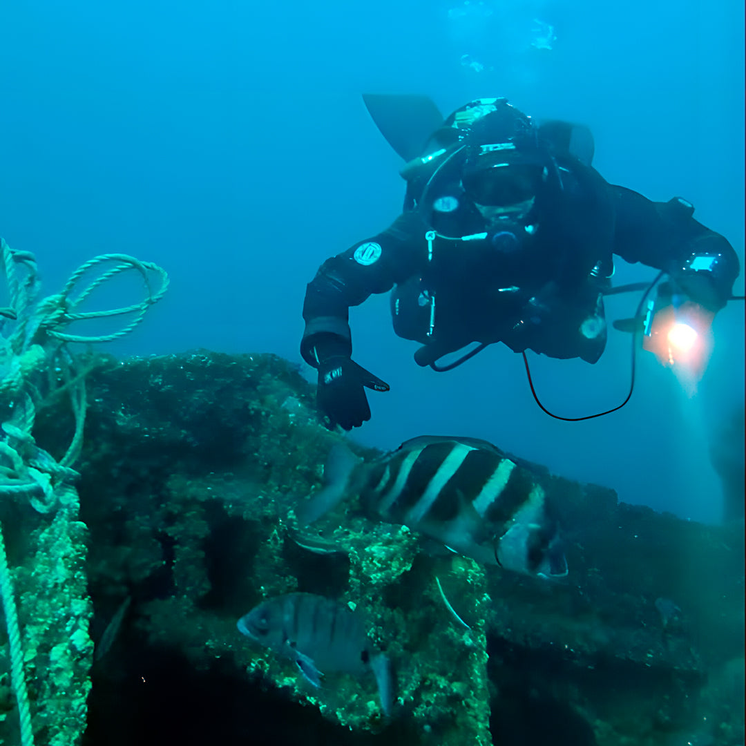 Sesimbra Fun Dive