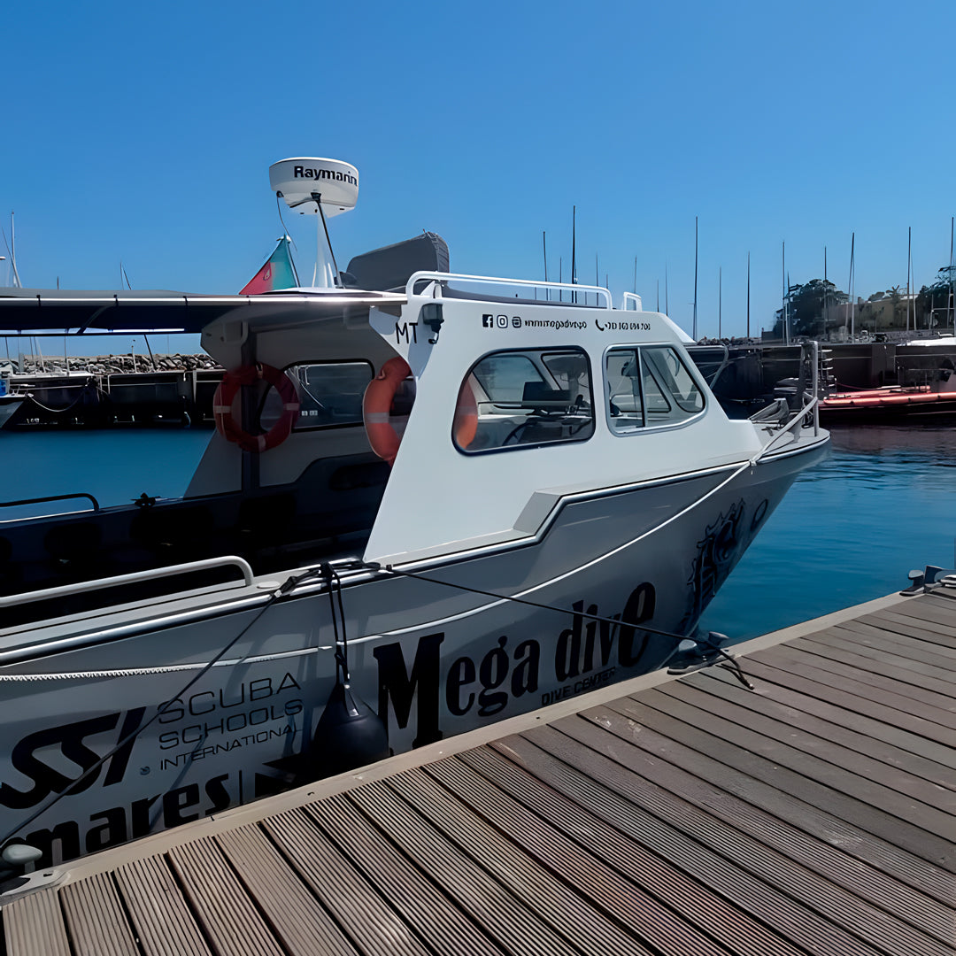 Sesimbra Marine Reserve Exploration Dive