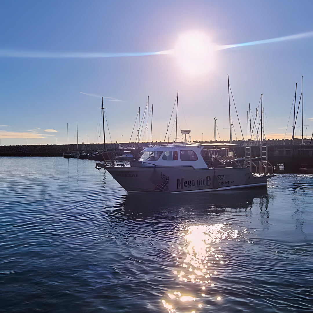 Sesimbra Fun Dive